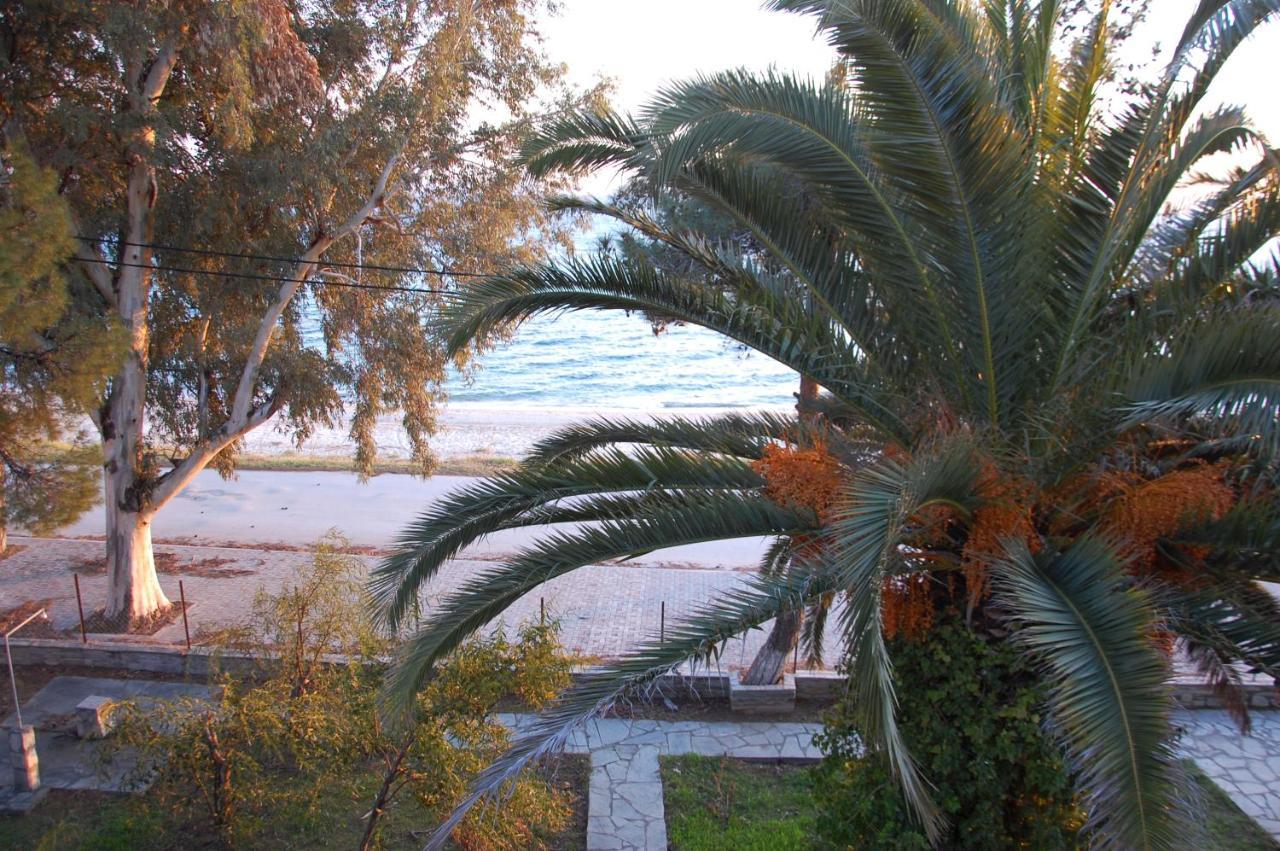 Villa Miranda Nikiti  Exterior foto