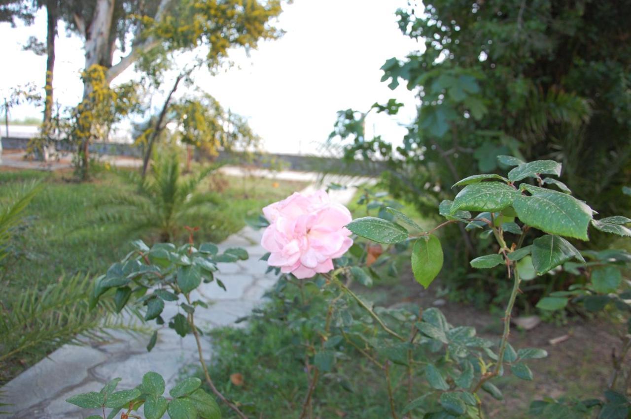 Villa Miranda Nikiti  Exterior foto